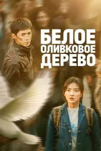 Белое оливковое дерево 1 сезон